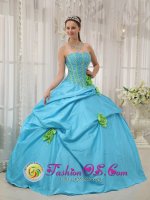Brecon Powys Baby Blue Beaded Decorate Bust and green Hand Flowers Quinceanera Dress With Strapless Pick-ups