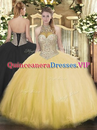 Adorable Sleeveless Beading Lace Up Quinceanera Gowns