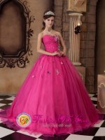 McCook Nebraska/NE Beautiful Hot Pink A-line Appliques Decorate Bust Quinceanera Dress With Sweetheart Strapless Bodice