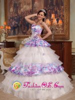 Exquisite Hand Made Flowers Elegant Quinceanera Dress For Paderborn Straps Organza and Printing Ball Gown