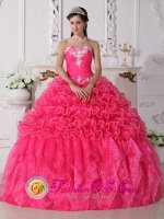 Clermont FL Beaded Embroidery Hot Pink Modest Quinceanera Dress For Strapless Organza Ball Gown(SKU QDZY703y-5BIZ)