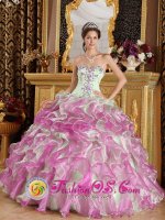 Valladolid Spain Latest Fuchsia and Apple Green Organza With Appliques Floor-length Quinceanera Dress Sweetheart Ball Gown