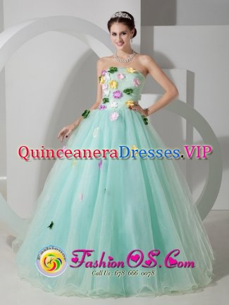 Abilene Texas/TX Apple Green Organza Quinceanera Dress With Hand Made Flowers For Celebrity