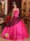 Hosle Norway Hot Pink For Brand New Quinceanera Dress Embroidery and Sweetheart with Beading
