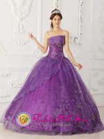 Tiffany & Co Dakota Dunes South Dakota/SD Elegent Lavender A-line Embroidery Quinceanera Dress With Strapless Satin and Organza Layers In Show Low[QDZY276J5BIZ]