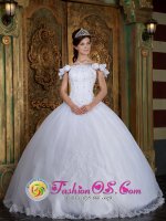Hagen Custom Made Off The Shoulder For Quinceanera Dress With Lace Appliques and Hand Made Flower Decorate(SKU QDZY134y-6BIZ)
