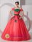 Helena Arkansas/AR Pretty One Shoulder Organza Quinceanera Dress With Hand Made Flowers Custom Made