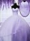 Sweetheart Sleeveless Sweet 16 Quinceanera Dress Floor Length Appliques Lavender Tulle