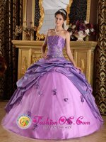 Wall South Dakota/SD Hand Made Flowers Appliques Stylish Lavender Quinceanera Dress For Strapless Taffeta Ball Gown