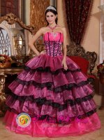 Tiffany & Co Brand New Multi-color Quinceanera Dress For Bayaguana Dominican Republic Sweetheart Organza Ruffles Gorgeous Ball Gown[QDZY554y-3BIZ]