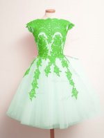 Amazing Sleeveless Mini Length Appliques Lace Up Quinceanera Court of Honor Dress with Multi-color
