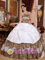 Newport Rhode Island/RI Beading Decorate Bodice Informal White Quinceanera Dress Strapless and sexy Leopard Ball Gown(SKU QDZY437 y-6BIZ)