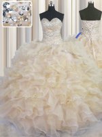 New Style Champagne Ball Gowns Sweetheart Sleeveless Organza Floor Length Lace Up Beading and Ruffles Quinceanera Dress(SKU PSSW0449-15BIZ)