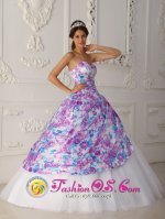 Rolla Missouri/MO Elegent A-line Printing and Tulle Vintage Multi-color Quinceanera Dress For Sweetheart Appliques