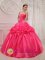 Palm Beach Gardens Florida/FL Ruched and Beading For Popular Hot Pink Quinceanera Dress With Taffeta and organza