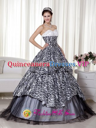 Wonderful Beading and Ruch Berlin Connecticut/CT Quinceanera Dress Luxurious A-line / Princess Sweetheart Floor-length Zebra and Organza