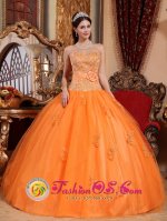 Tiffany & Co West Palm Beach Florida/FL Sweetheart Embroidery Decorate Discount Quinceanera Dress[QDZY662-GBIZ]