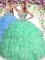 Ball Gowns Quinceanera Dress Apple Green Sweetheart Organza Sleeveless Floor Length Lace Up