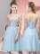 Light Blue Sleeveless Appliques Knee Length Quinceanera Court Dresses