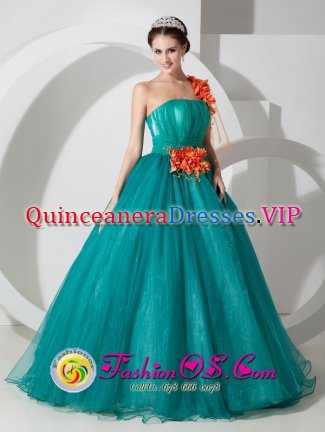 Vannes France One Shoulder Organza Quinceanera Dress With Hand Made Flowers Custom Made