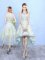 Lovely Apple Green Tulle Zipper Damas Dress Sleeveless High Low Appliques and Pattern