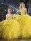 Sumptuous Sweetheart Sleeveless Organza 15th Birthday Dress Beading and Ruffles Lace Up