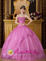 Thayer Missouri/MO The Brand New Style For Quinceanera Dress With Rose Pink Sweetheart Exquisite Appliques(SKU QDZY080-EBIZ)