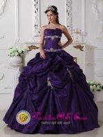Wear The Super Hot Purple Exquisite Appliques Decorate Quinceanera Dress In Owosso Michigan/MI Quinceanera