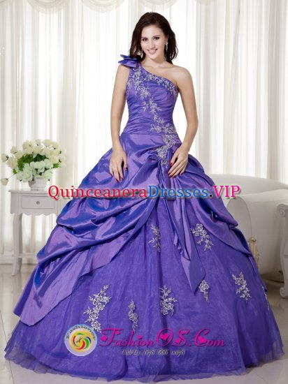 Bellows Falls Vermont/VT Elegant A-line Purple One Shoulder Appliques and Ruch Quinceanera Dresses Oline Taffeta and Organza - Click Image to Close