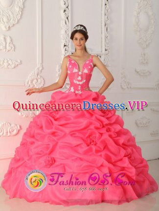 Ruston Louisiana/LA Sexy Watermelon Quinceanera Dress With Appliques Decorate Straps And Bodice