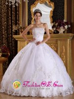 Grove City Ohio/OH Popular Embroidery with Beading Decorate Lace White Quinceanera Dress(SKU QDZY098-IBIZ)