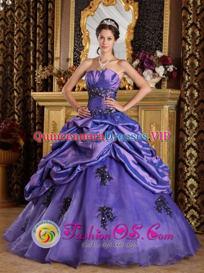 Kenosha Wisconsin/WI Princess Purple Strapless Quinceanera Dress With Appliques and Pick- ups - Click Image to Close