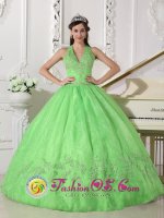 Fort Mill South Carolina S/C Elegant A-line Spring Green Halter Top Appliques Decorate Quinceanera Dress With Taffeta and Organza