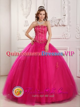 Gorgeous strapless beaded Hot Pink Quinceanera Dress IN Roslyn NY