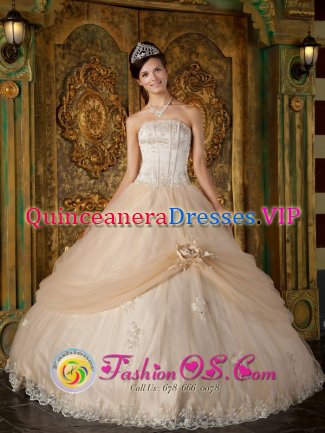 Hand Made Flower and Appliques Decorate Strapless Bodice Champagne Ball Gown Quinceanera Dress in Elgg Switzerland
