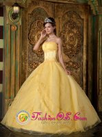 AsconaSwitzerland Gorgeous Appliques Decorate Bodice Yellow Quinceanera Dress In New York Strapless Organza Ball Gown