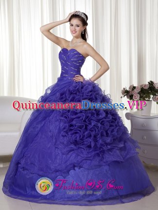 Gorgeous Beaded and Ruched Bodice For New year Quinceanera Dress With Purple Ball Gown In Pearce AZ