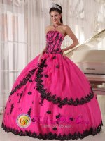 Perfect Organza and Taffeta Appliques Decorate Bodice Hot Pink Quinceanera Dress For Strapless Ball Gown IN Eureka Springs Arkansas/AR(SKU PDZY498-GBIZ)