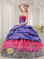 Colorful Exclusive Quinceanera Dress With purple Taffeta and pink Organza and Zebra Pick-ups In Dexter Michigan/MI