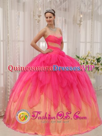 Lebu Chile Hot Pink Ball Gown Strapless Floor-length Organza Beading Quinceanera Dress