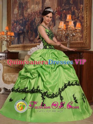 Frazer Pennsylvania/PA Appliques Decorate Bodice Popular Spring Green Quinceanera Dress For Sweet Style Straps Taffeta Ball Gown