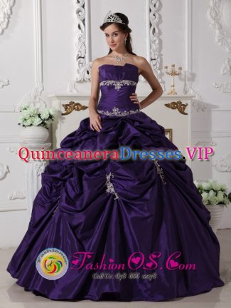 Ely Cambridgeshire Wear The Super Hot Purple Exquisite Appliques Decorate Quinceanera Dress In Quinceanera