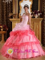 Salmon Idaho/ID Stunning One Shoulder Strapless Lace up Romantic Quinceanera Dress Appliques with Beading Organza Ball Gown