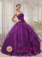 Valle del Cauca Customize Beaded Decorate Bust and Ruch Quinceanera Dresses Organza Eggplant Purple Strapless