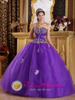 Purple New Quinceanera Dress For Philippi West virginia/WV Sweetheart Appliques Decorate Bodice Tulle Ball Gown