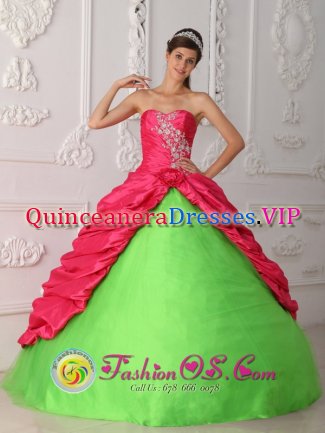 Medford Massachusetts/MA Coral Red and Spring Green Appliques and Ruch Quinceanera Dress With Sweetheart Taffeta