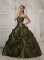 Exquisite Olive Green Quinceanera Dress With Deaded Decorate taffeta For Sweet 16 Quinceaners In Shenandoah Iowa/IA
