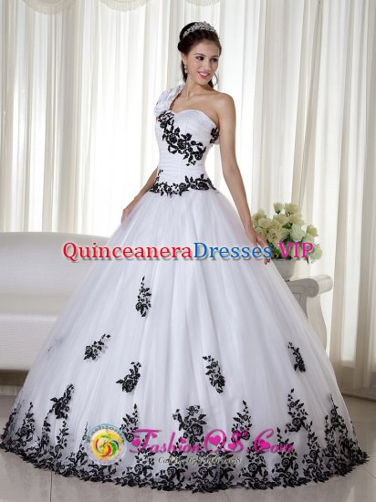 Round Rock Texas/TX One Shoulder White Embroidery Decorate Floor length Taffeta and Organza For Quinceanera Dress - Click Image to Close