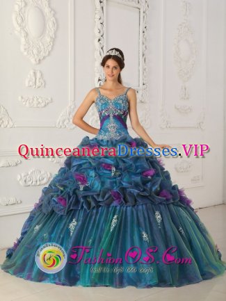 Andratx Spain Teal Appliques and Hand Made Flowers Pick-ups Beaded decorate Straps For Quinceanera Dress