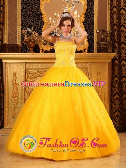 Brand New Limpopo (Northern Province) South Africa Spaghetti Straps With Beaded Decorate Satin and Tulle Quinceanera Dress - Click Image to Close